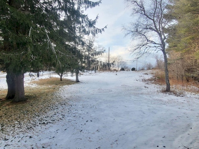 view of yard covered in snow