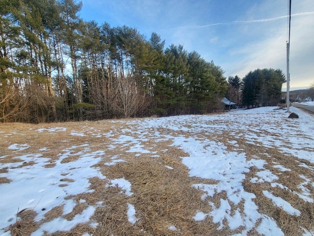 view of snowy yard