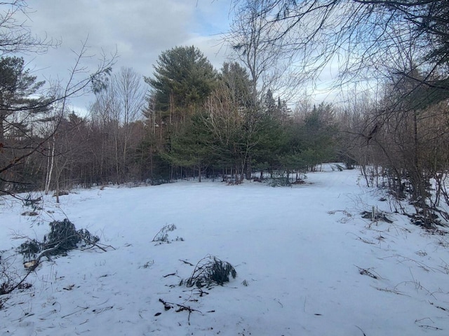 view of yard layered in snow