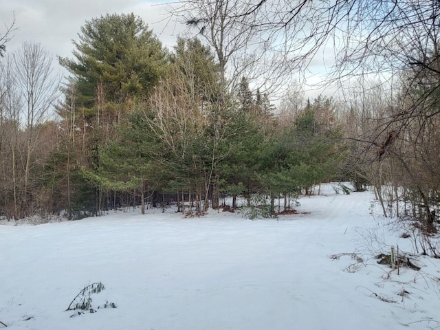 view of yard covered in snow