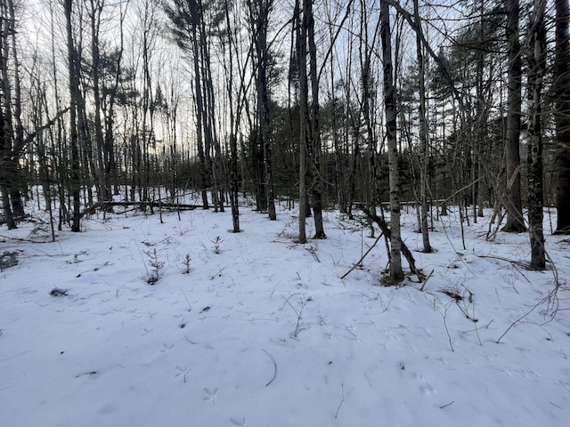 view of snowy landscape