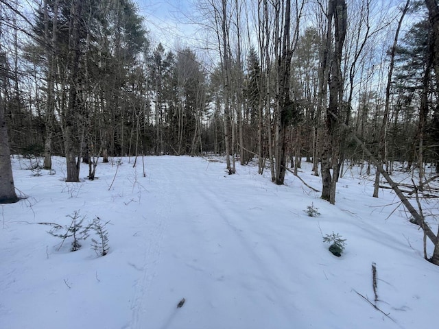 view of yard covered in snow