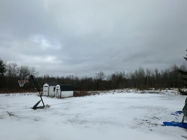 yard covered in snow featuring a storage shed