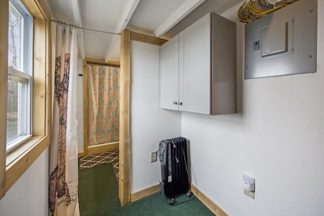 washroom with electric panel, carpet flooring, and a healthy amount of sunlight