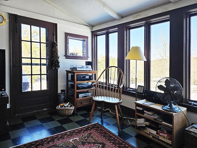 entryway featuring lofted ceiling