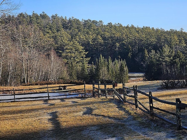 view of yard featuring a rural view