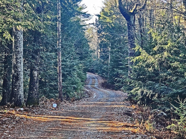 view of landscape