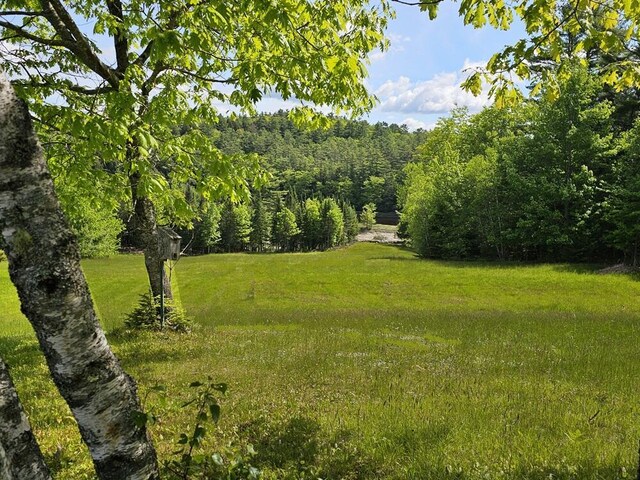 99 Angier Rd, Alna, ME 04535 - view of green lawn with a view of trees