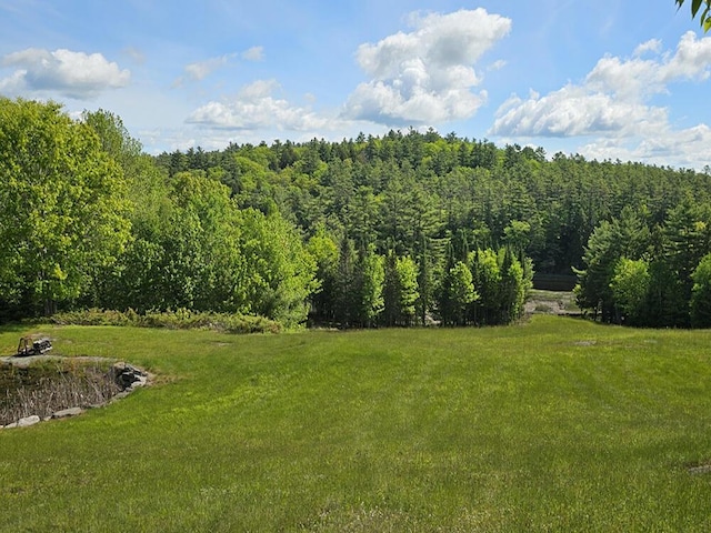 99 Angier Rd, Alna, ME 04535 - view of green lawn with a view of trees