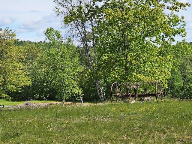 99 Angier Rd, Alna, ME 04535 - view of yard featuring a wooded view