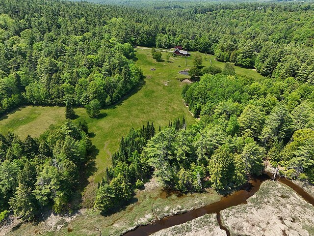 99 Angier Rd, Alna, ME 04535 - view of property location with a heavily wooded area
