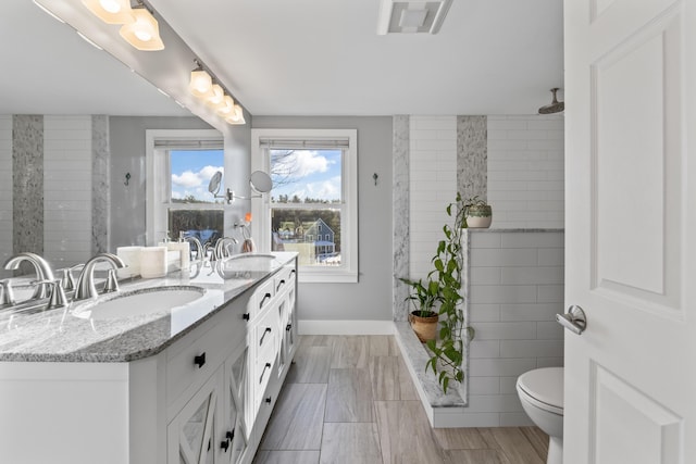 bathroom with toilet and vanity