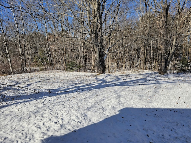 view of snowy yard