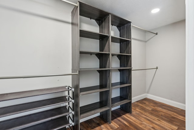 spacious closet with dark wood-type flooring