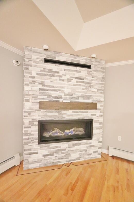 details featuring wood-type flooring, a baseboard radiator, and a fireplace