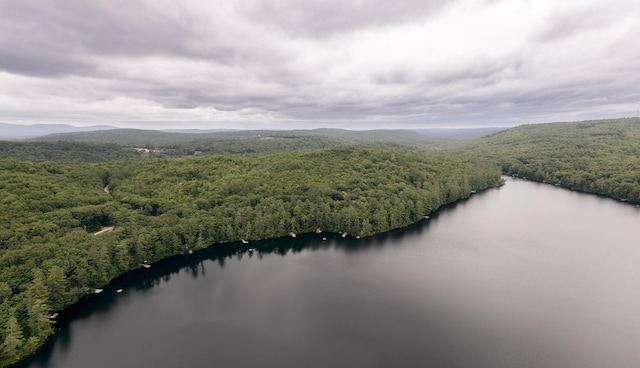 aerial view featuring a water and mountain view