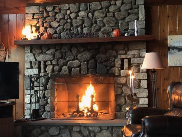 details featuring a stone fireplace and wooden walls