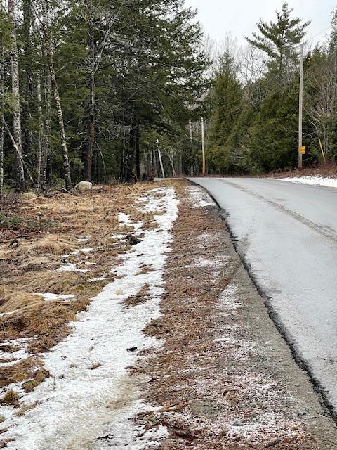 Listing photo 3 for MAP6LOT15 Spring Bridge Rd, Greenbush ME 04418