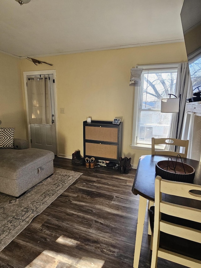 interior space featuring dark hardwood / wood-style flooring and crown molding