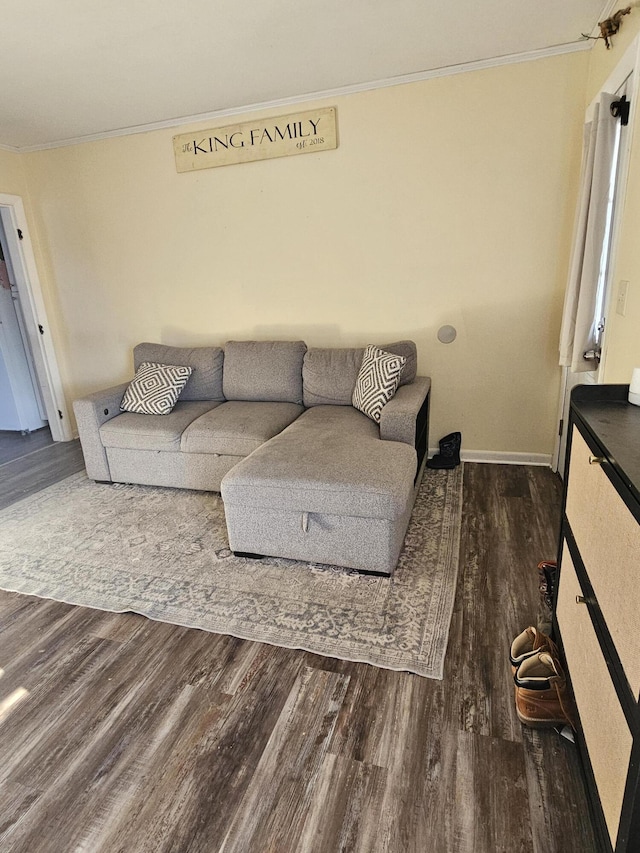 living room with crown molding and hardwood / wood-style flooring