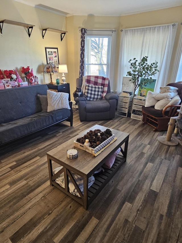 living room with dark hardwood / wood-style floors