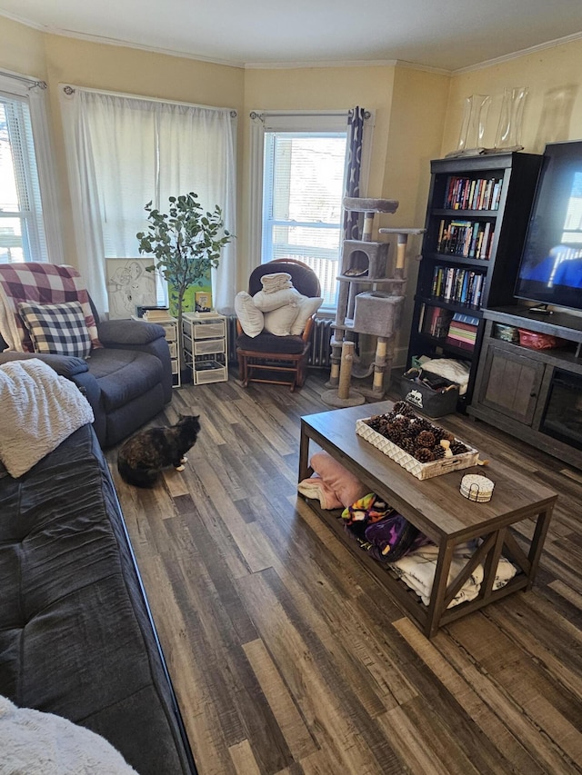 living room featuring a healthy amount of sunlight and dark hardwood / wood-style floors