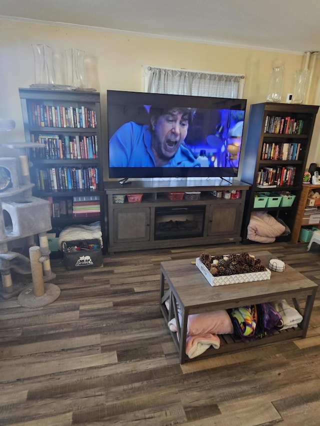 living room featuring wood-type flooring