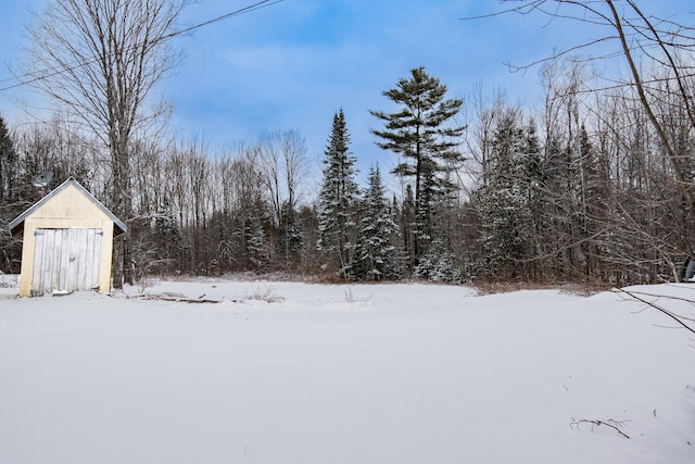 yard covered in snow with a storage shed