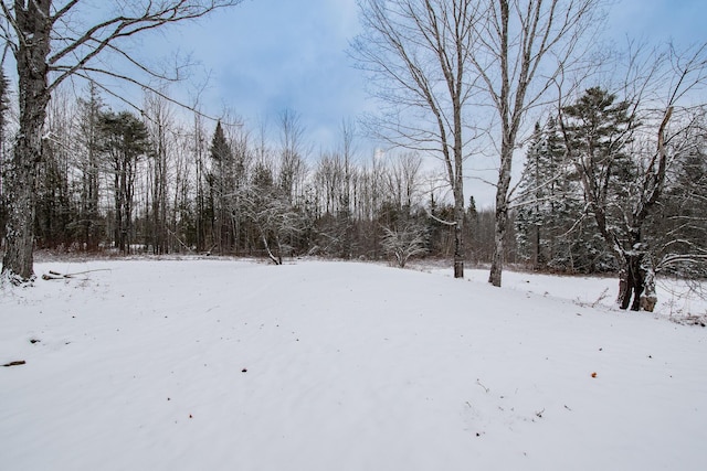 view of yard covered in snow