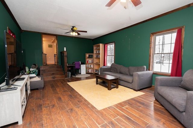 living room with ceiling fan, dark hardwood / wood-style floors, and ornamental molding