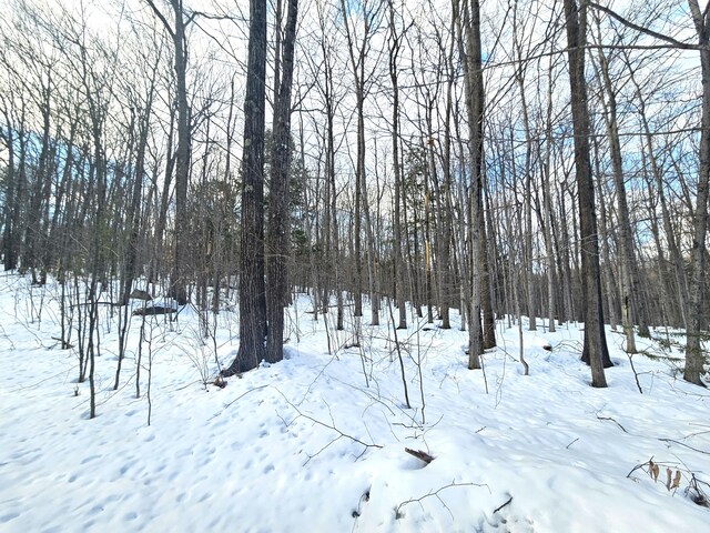 LOT023-A Oak Hill Rd, Temple, ME 04984