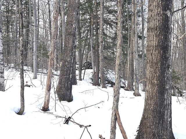 LOT023-A Oak Hill Rd, Temple, ME 04984