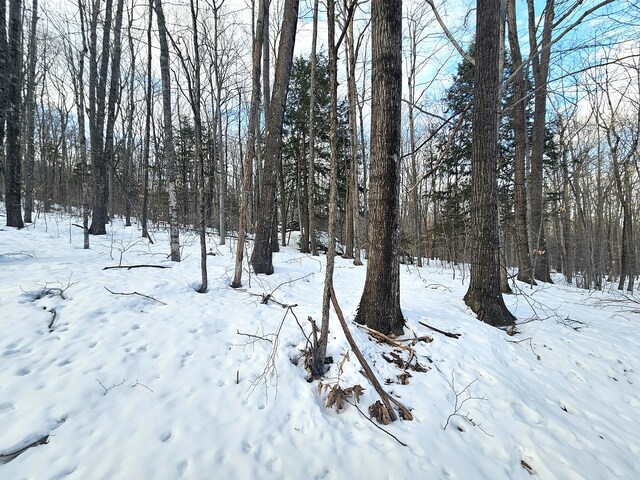 LOT023-A Oak Hill Rd, Temple, ME 04984