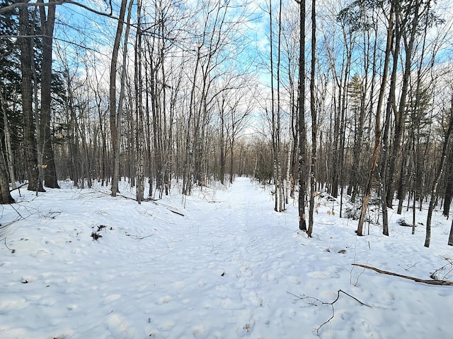 Listing photo 3 for LOT023-A Oak Hill Rd, Temple ME 04984