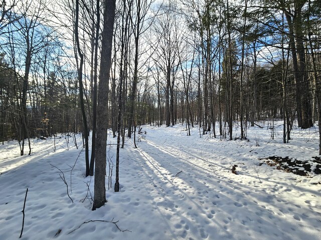 LOT023-A Oak Hill Rd, Temple, ME 04984