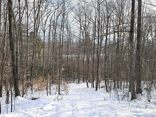 LOT023-A Oak Hill Rd, Temple, ME 04984