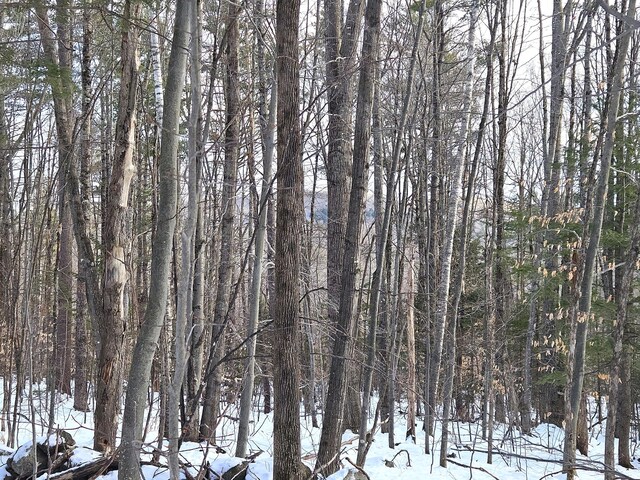 LOT023-A Oak Hill Rd, Temple, ME 04984