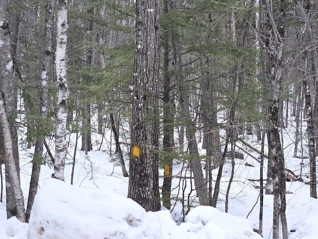 LOT023-A Oak Hill Rd, Temple, ME 04984