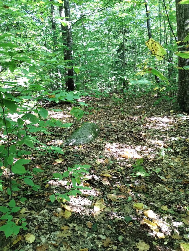 LOT023-A Oak Hill Rd, Temple, ME 04984