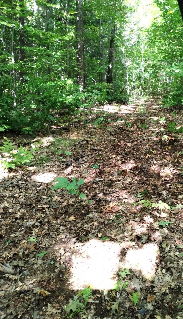 LOT023-A Oak Hill Rd, Temple, ME 04984