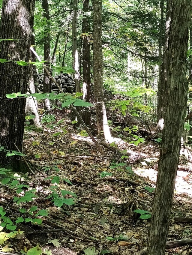 LOT023-A Oak Hill Rd, Temple, ME 04984
