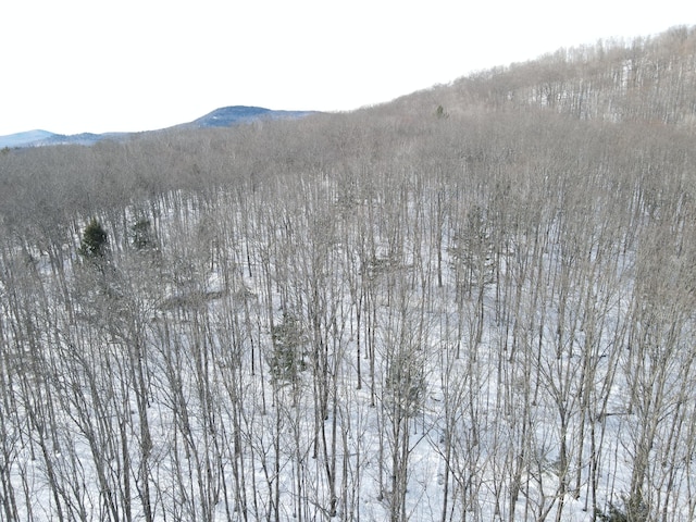 LOT023-A Oak Hill Rd, Temple, ME 04984