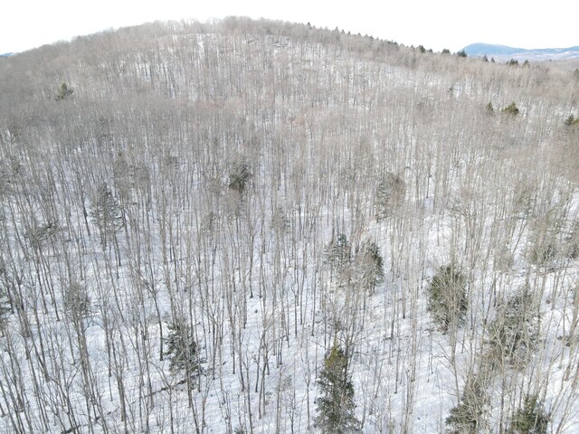LOT023-A Oak Hill Rd, Temple, ME 04984