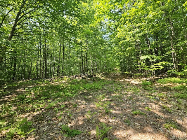 LOT023-A Oak Hill Rd, Temple, ME 04984