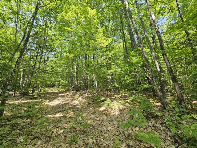 LOT023-A Oak Hill Rd, Temple, ME 04984