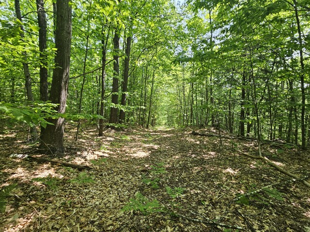 LOT023-A Oak Hill Rd, Temple, ME 04984