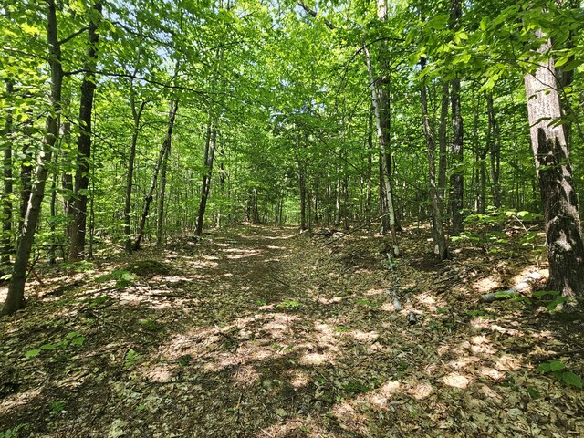 LOT023-A Oak Hill Rd, Temple, ME 04984