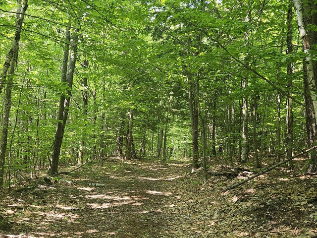 LOT023-A Oak Hill Rd, Temple, ME 04984