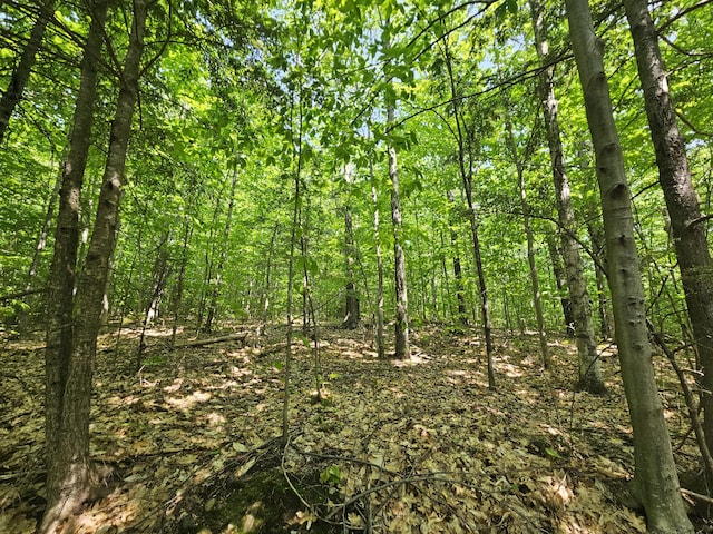 LOT023-A Oak Hill Rd, Temple, ME 04984