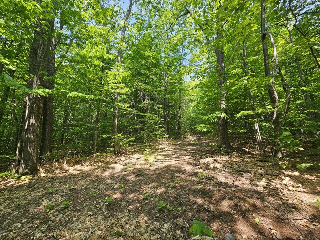 LOT023-A Oak Hill Rd, Temple, ME 04984